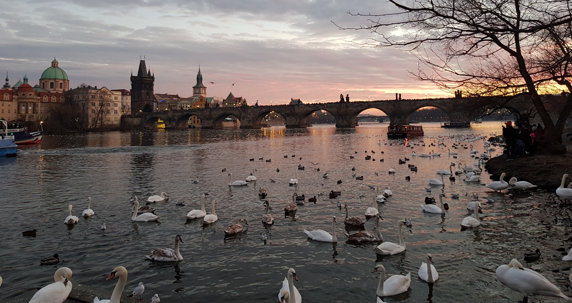 agence de voyage aude, agence voyage narbonne, site de voyage, voyage agence 11, site agence de voyage, voyage tout compris carcassonne,,voyage pour groupe, voyage de groupe aude 11, groupe de voyage, voyages de groupes, site voyage, site de vol pas cher, site vol pas cher, vol multi destination, croisiere, croisière aude, voyage en croisière Costa, sejour tout compris en france, voyage pas cher tout compris aude, vacances all inclusive france pas cher, agence de voyage narbonne, voyage organisé narbonne, envie de voyages Aude, Eva’s voyages, voyage organisé en petit groupe narbonne, organisation voyage groupe, voyage organisé original, voyage sur mesure, voyage sur mesure europe, voyage a la carte dans le monde, voyage monde, voyage europe, voyages france